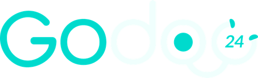 GoDoc24